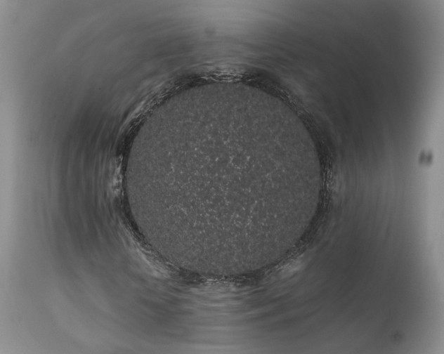 X0000112110818200908111440