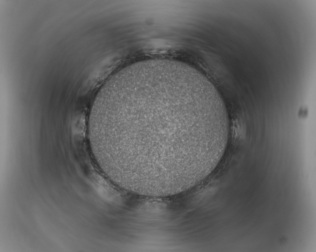 X0000112110820200908111440