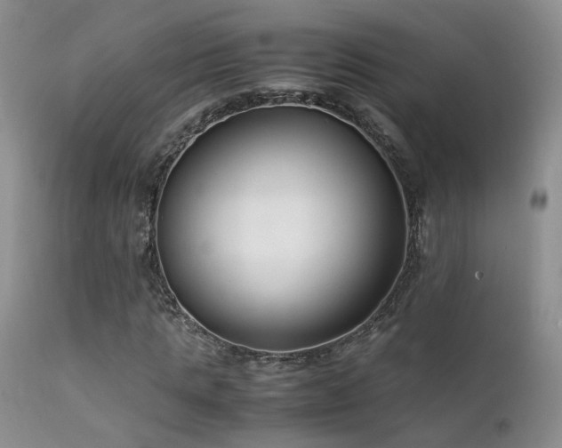 X0000112110821200908111440