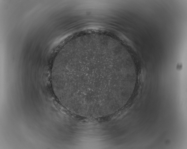 X0000112110822200908111440