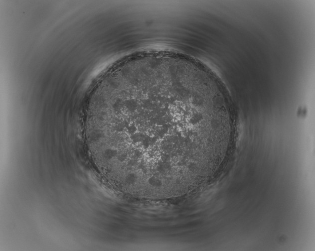 X0000112110823200908111440