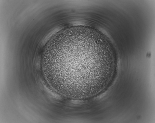 X0000112110825200908111440