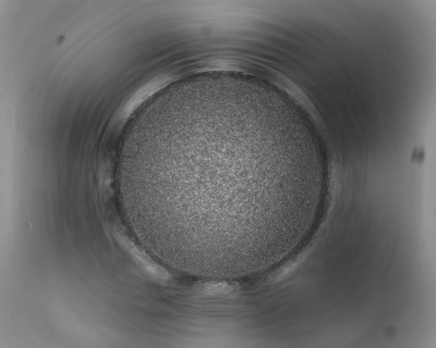 X0000112110826200908111440