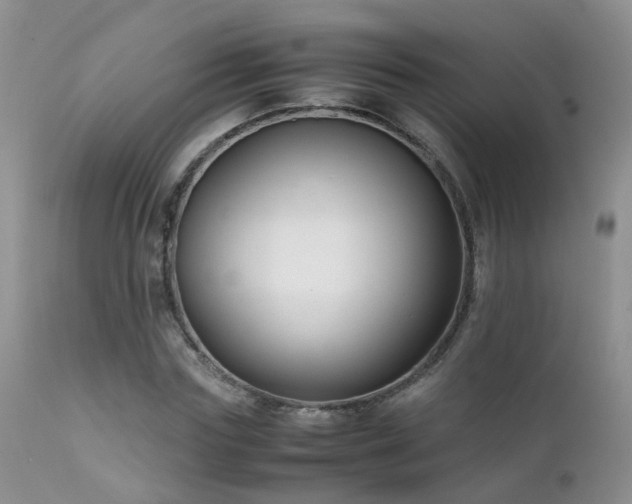 X0000112110827200908111440