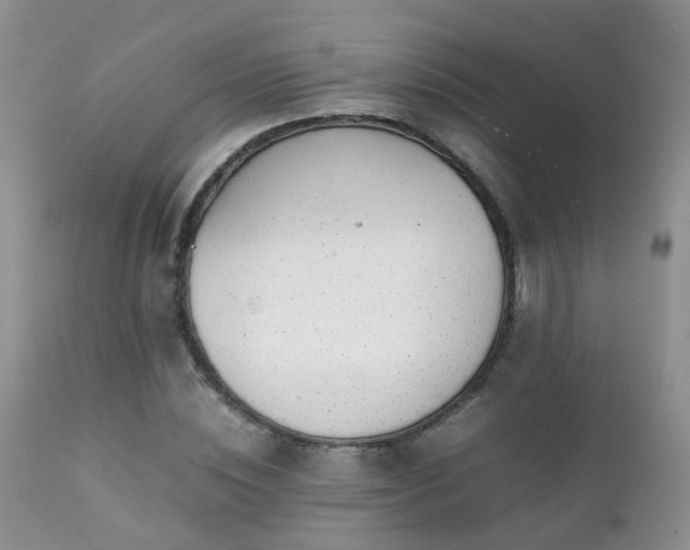 X0000112110828200908111440