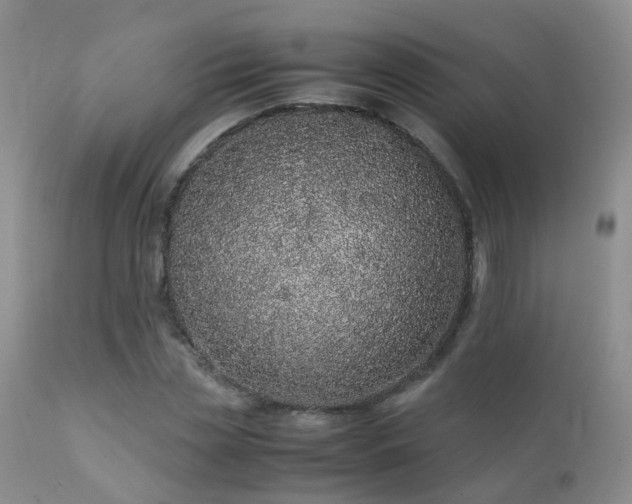 X0000112110829200908111440