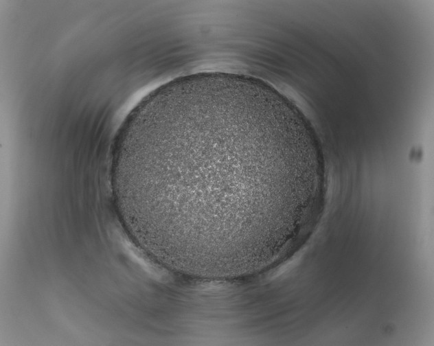 X0000112110830200908111440