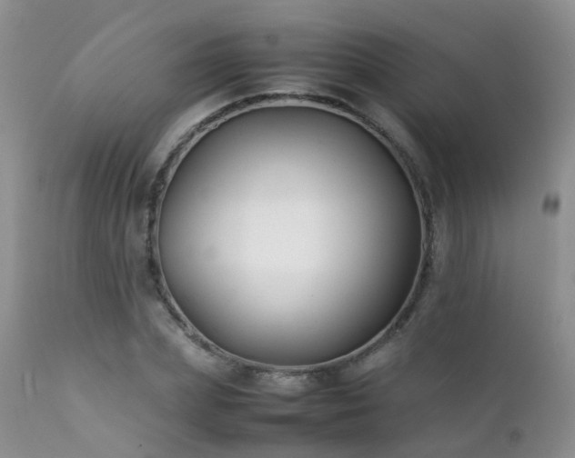 X0000112110831200908111440