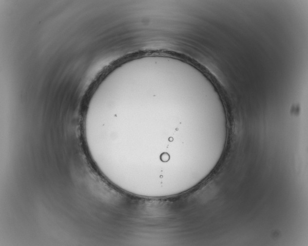 X0000112110832200908111440