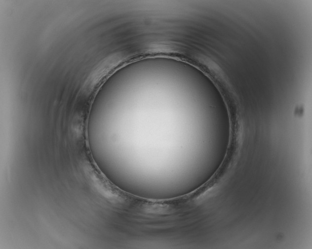 X0000112110833200908111440