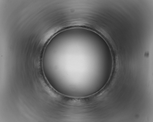 X0000112110834200908111440