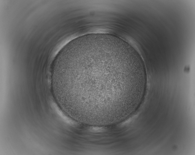 X0000112110835200908111440