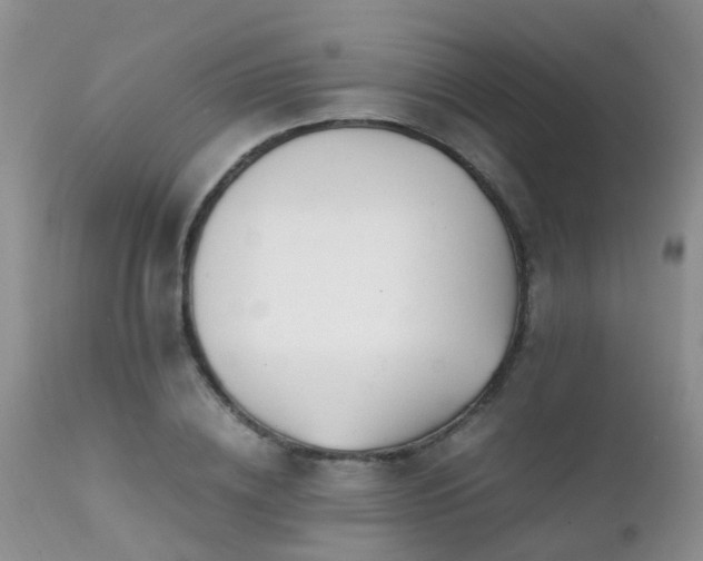 X0000112110836200908111440