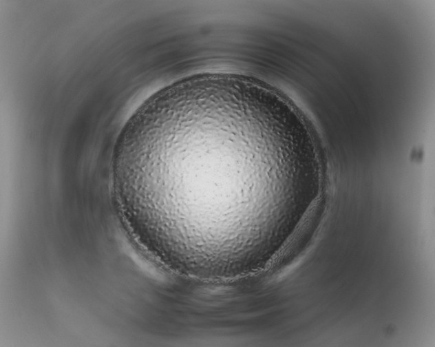 X0000112110837200908111440