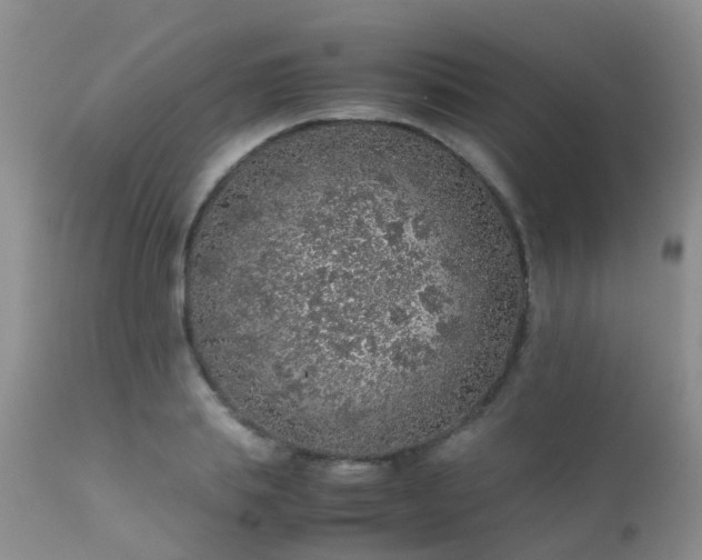 X0000112110839200908111440