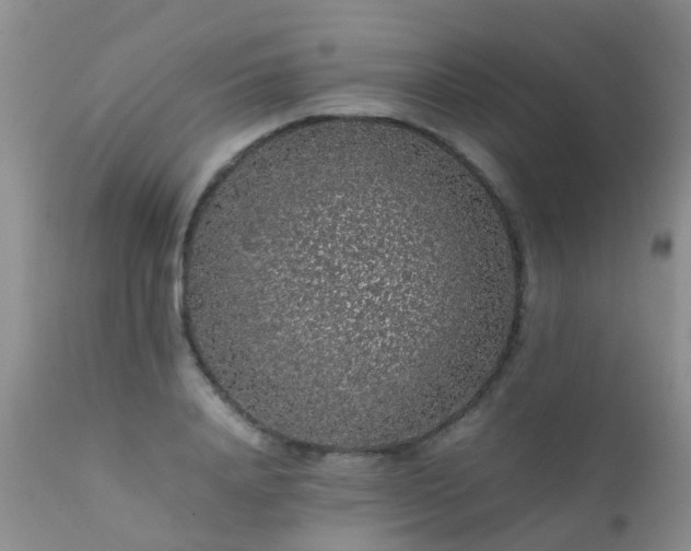 X0000112110840200908111440