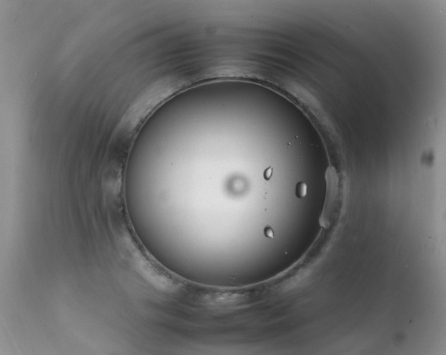 X0000112110841200908111440