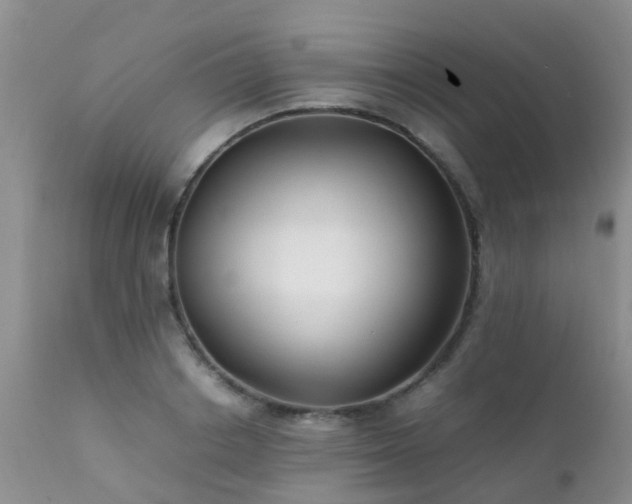 X0000112110842200908111440