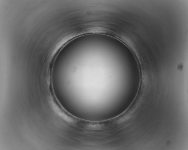 X0000112110843200908111440