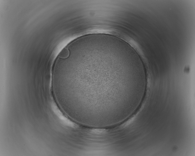 X0000112110844200908111440