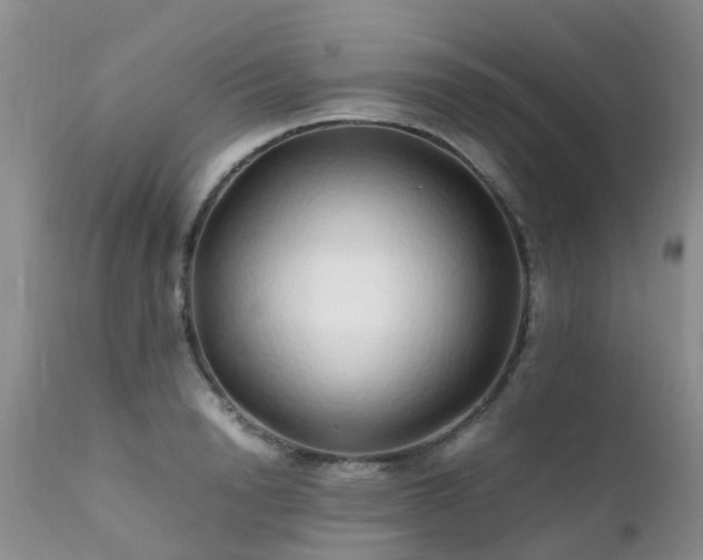 X0000112110846200908111440