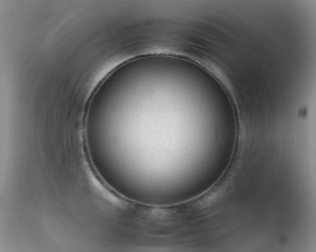 X0000112110847200908111440