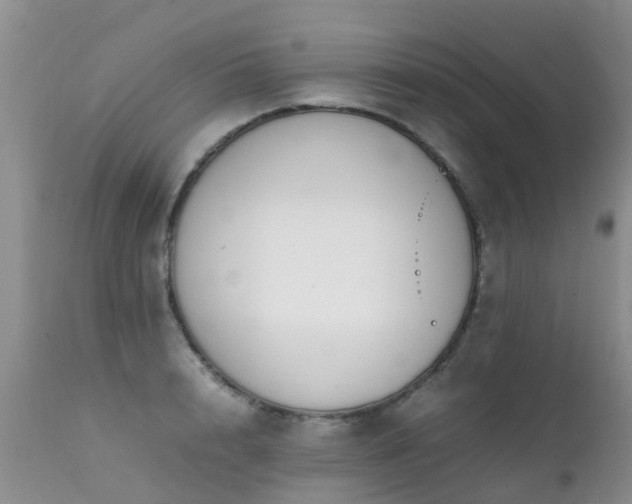 X0000112110848200908111440