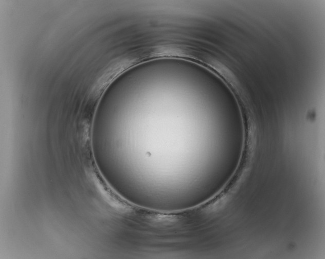 X0000112110849200908111440