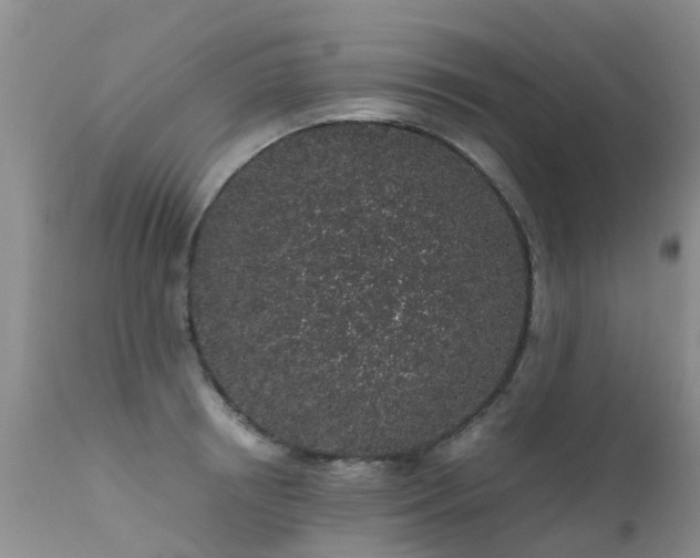 X0000112110850200908111440