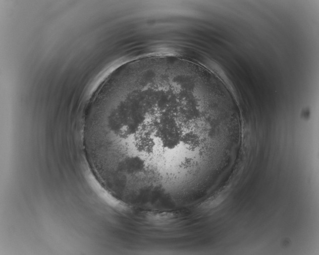 X0000112110851200908111440