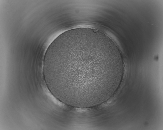 X0000112110852200908111440