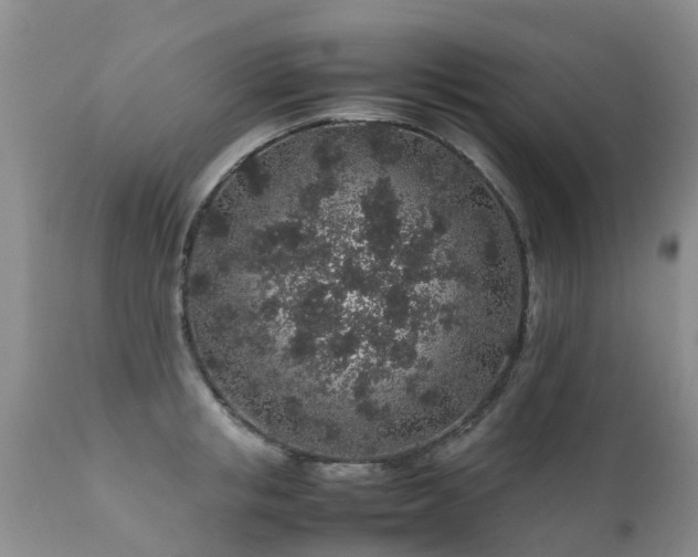 X0000112110853200908111440