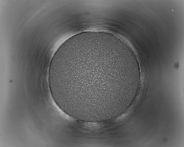 X0000112110855200908111441