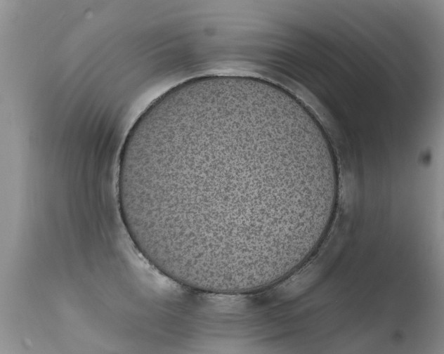 X0000112110856200908111441