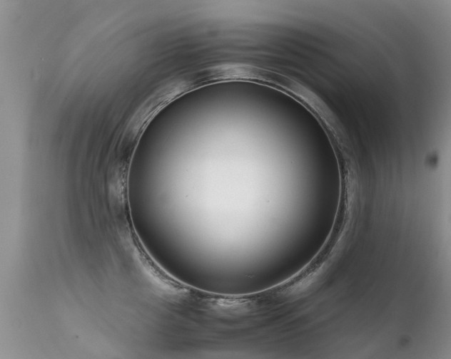 X0000112110857200908111441