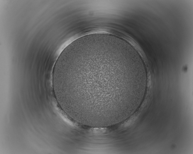 X0000112110858200908111441