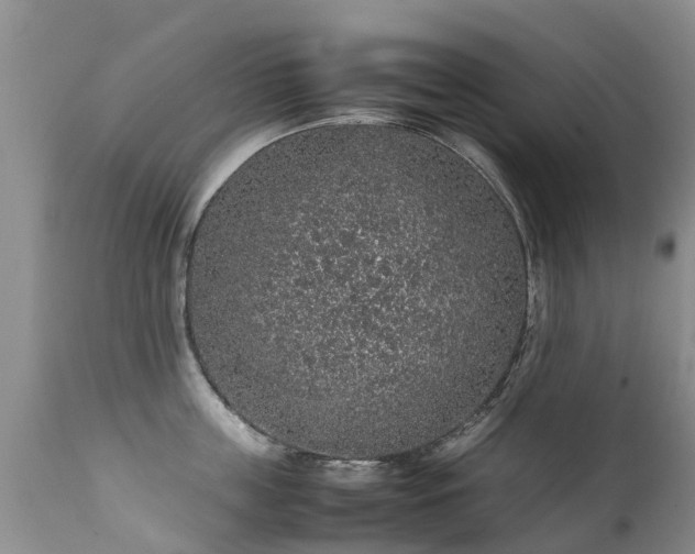 X0000112110859200908111441