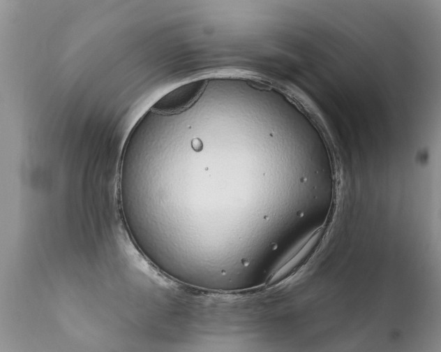 X0000112110860200908111441