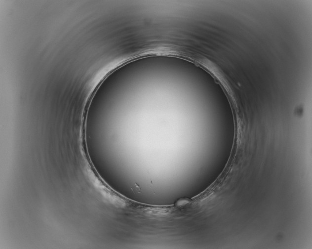 X0000112110861200908111441