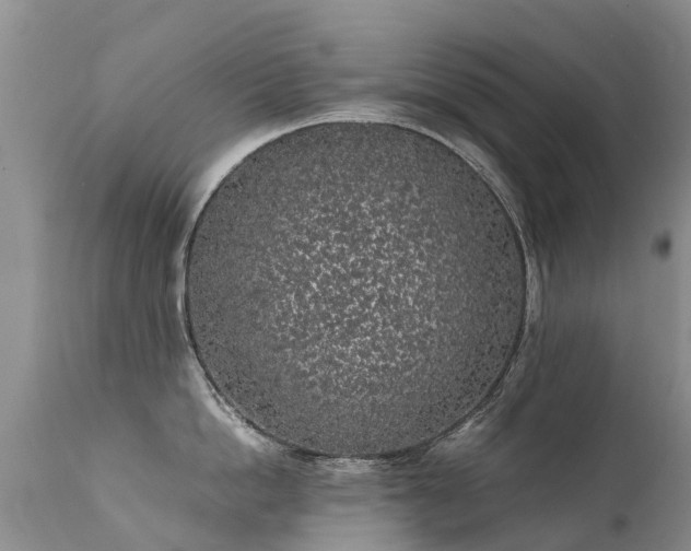 X0000112110862200908111441