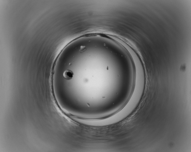 X0000112110863200908111441