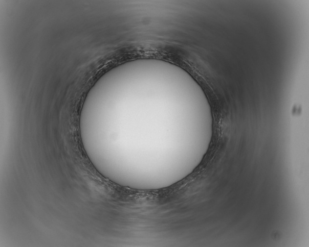 X0000112110865200908111440