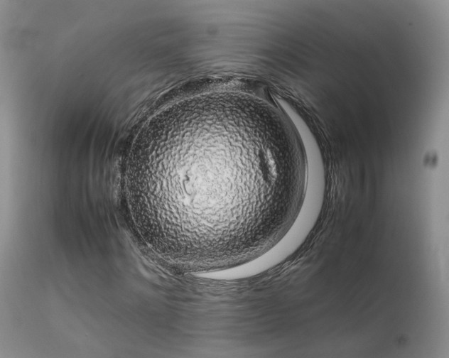 X0000112110868200908111440