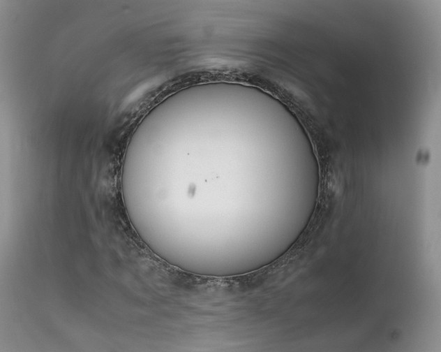 X0000112110869200908111440