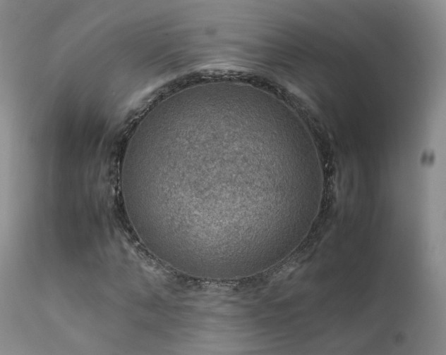 X0000112110870200908111440