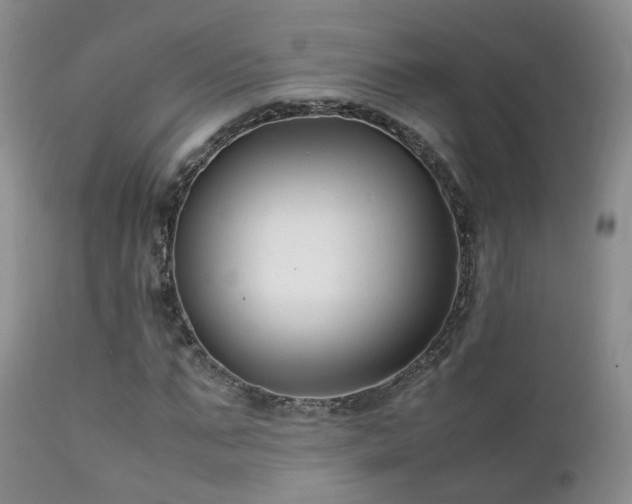 X0000112110871200908111440