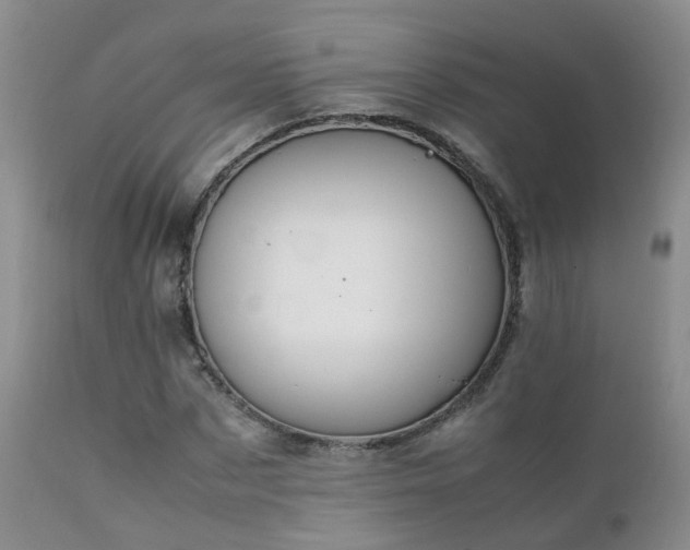 X0000112110873200908111440