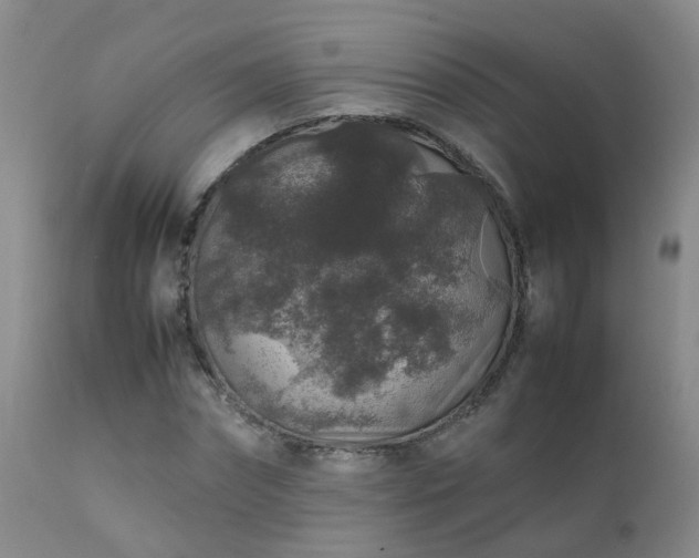 X0000112110874200908111440