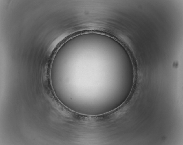 X0000112110875200908111440