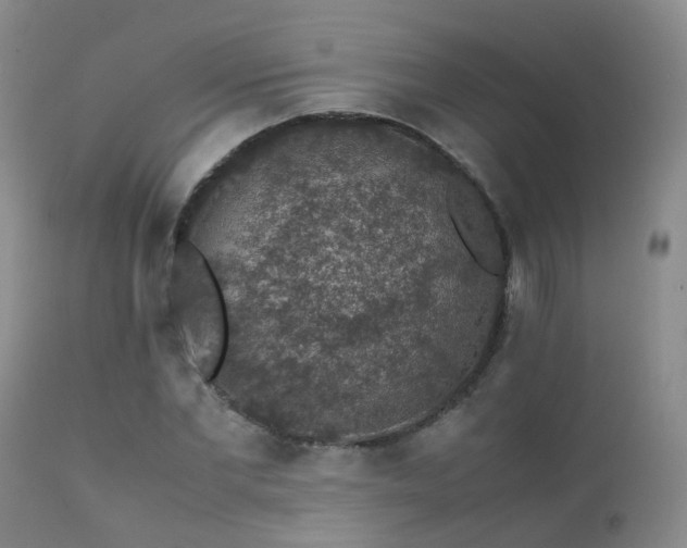 X0000112110877200908111440